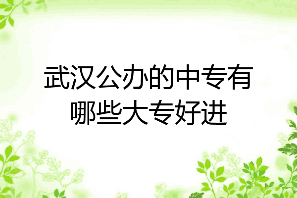 武汉公办的中专有哪些大专好进