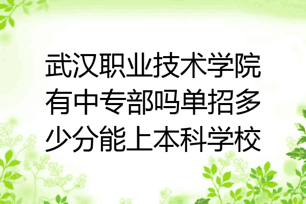 武汉职业技术学院有中专部吗单招多少分能上本科学校