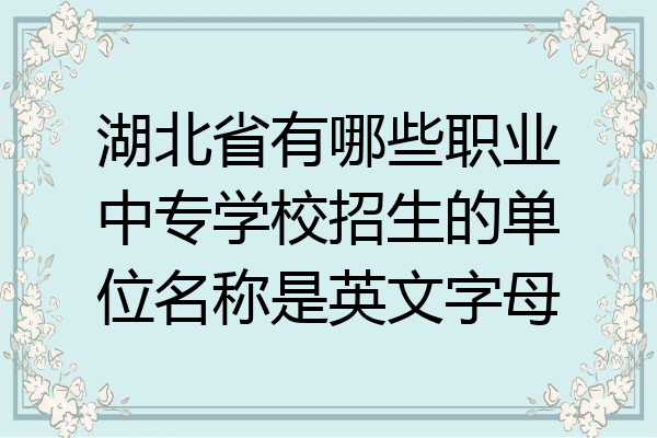 湖北省有哪些职业中专学校招生的单位名称是英文字母