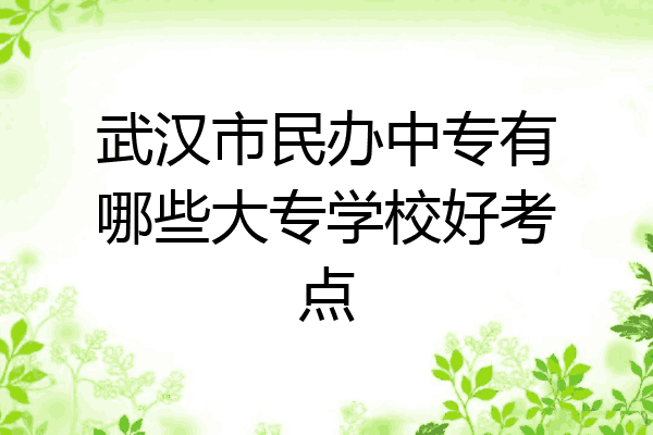 武汉市民办中专有哪些大专学校好考点