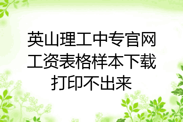 英山理工中专官网工资表格样本下载打印不出来