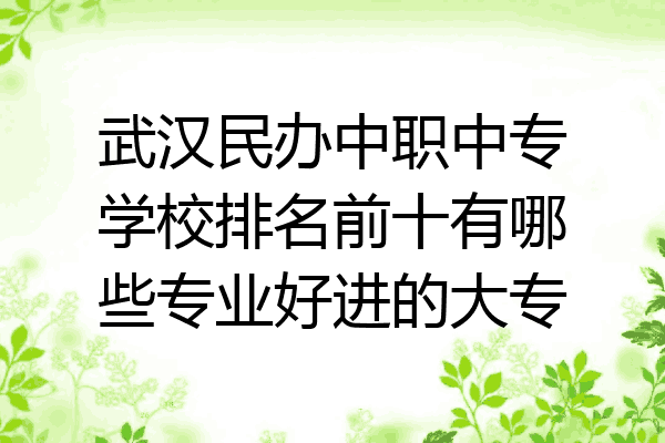 武汉民办中职中专学校排名前十有哪些专业好进的大专