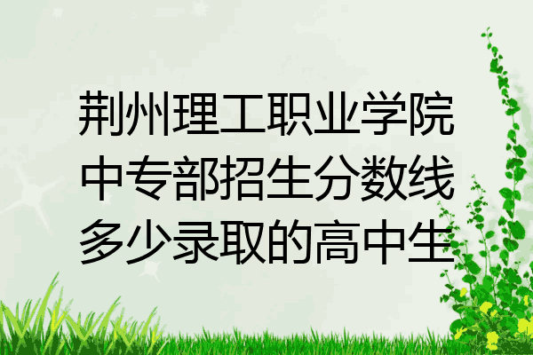 荆州理工职业学院中专部招生分数线多少录取的高中生