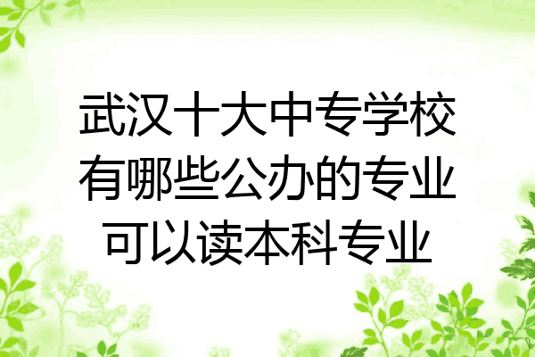 武汉十大中专学校有哪些公办的专业可以读本科专业
