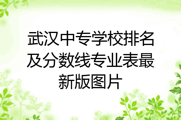 武汉中专学校排名及分数线专业表最新版图片