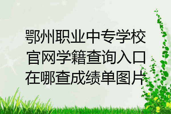 鄂州职业中专学校官网学籍查询入口在哪查成绩单图片