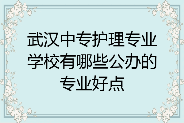 武汉中专护理专业学校有哪些公办的专业好点