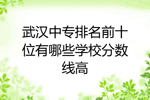 武汉中专排名前十位有哪些学校分数线高