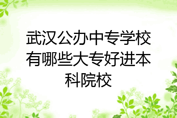 武汉公办中专学校有哪些大专好进本科院校