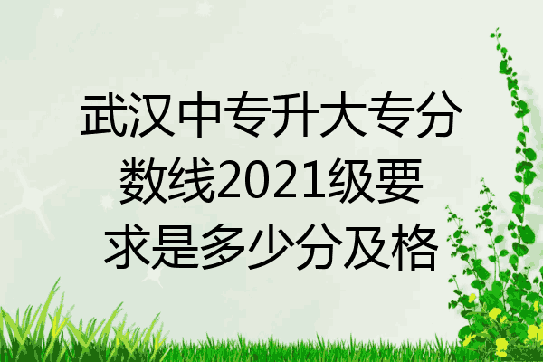 武汉中专升大专分数线2021级要求是多少分及格