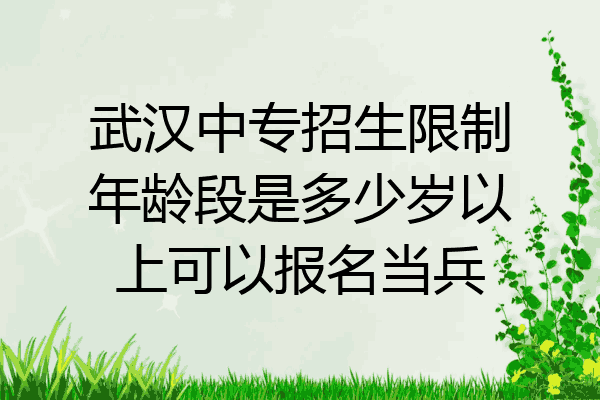 武汉中专招生限制年龄段是多少岁以上可以报名当兵