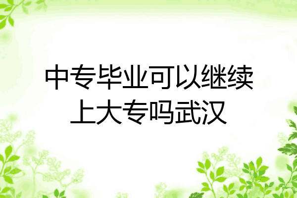 中专毕业可以继续上大专吗武汉
