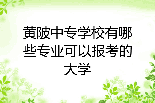 黄陂中专学校有哪些专业可以报考的大学