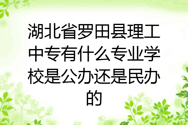 湖北省罗田县理工中专有什么专业学校是公办还是民办的