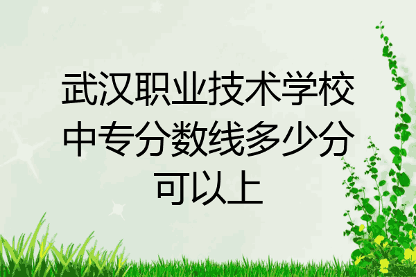 武汉职业技术学校中专分数线多少分可以上