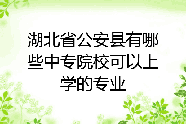 湖北省公安县有哪些中专院校可以上学的专业