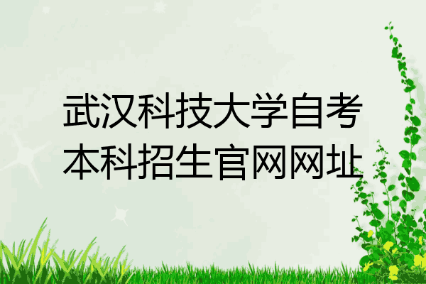 武汉科技大学自考本科招生官网网址