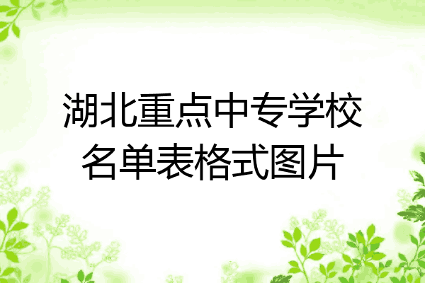 湖北重点中专学校名单表格式图片