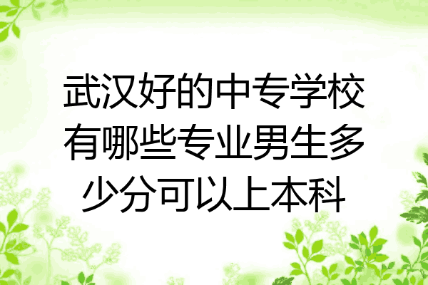 武汉好的中专学校有哪些专业男生多少分可以上本科