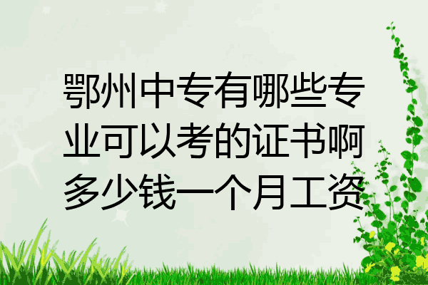 鄂州中专有哪些专业可以考的证书啊多少钱一个月工资