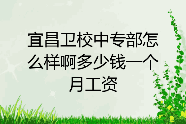 宜昌卫校中专部怎么样啊多少钱一个月工资