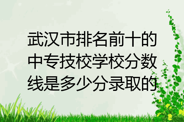 武汉市排名前十的中专技校学校分数线是多少分录取的