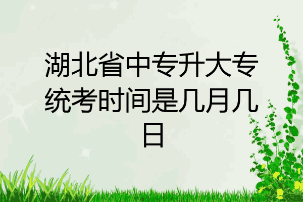 湖北省中专升大专统考时间是几月几日