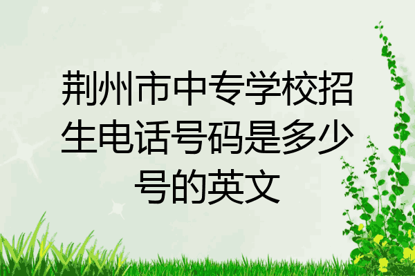 荆州市中专学校招生电话号码是多少号的英文