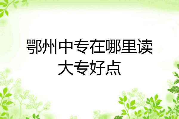 鄂州中专在哪里读大专好点