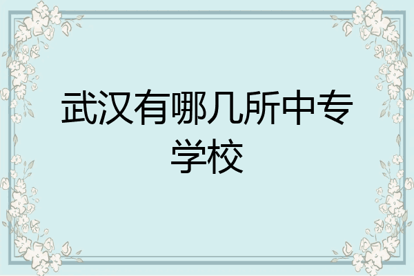 武汉有哪几所中专学校