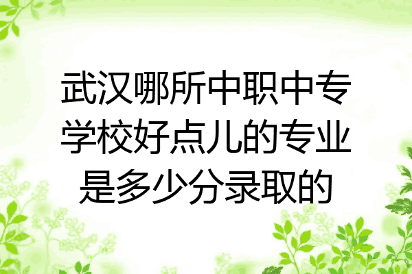 武汉哪所中职中专学校好点儿的专业是多少分录取的