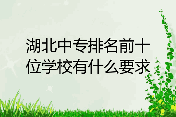湖北中专排名前十位学校有什么要求