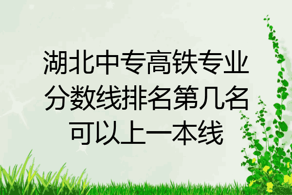 湖北中专高铁专业分数线排名第几名可以上一本线
