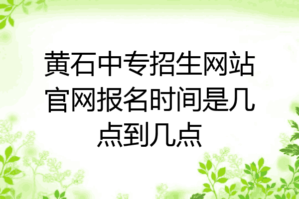 黄石中专招生网站官网报名时间是几点到几点