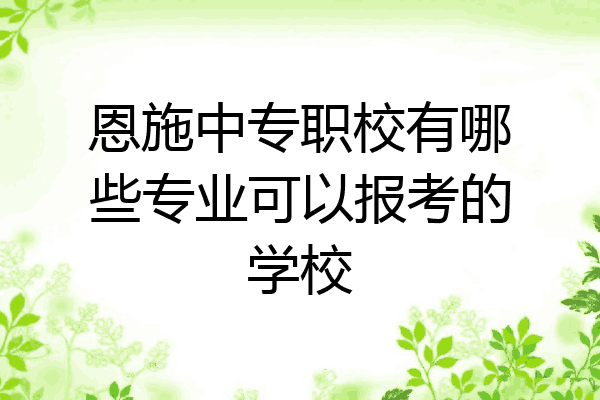 恩施中专职校有哪些专业可以报考的学校