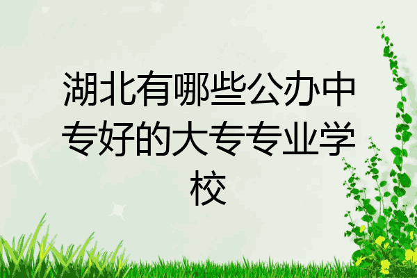 湖北有哪些公办中专好的大专专业学校