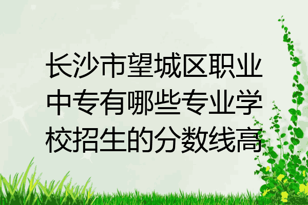 长沙市望城区职业中专有哪些专业学校招生的分数线高