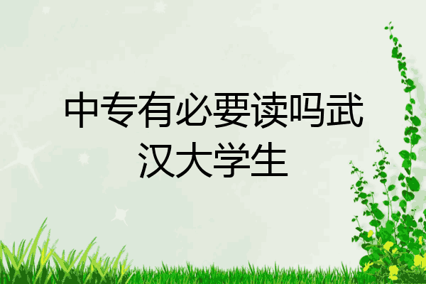 中专有必要读吗武汉大学生