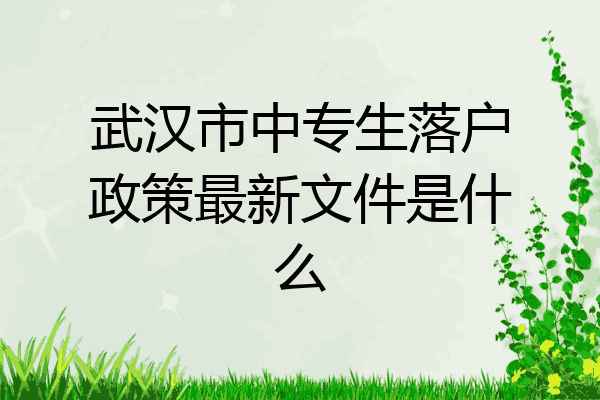 武汉市中专生落户政策最新文件是什么