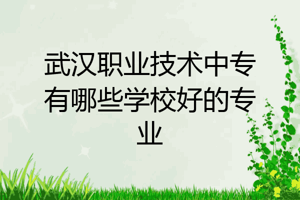 武汉职业技术中专有哪些学校好的专业