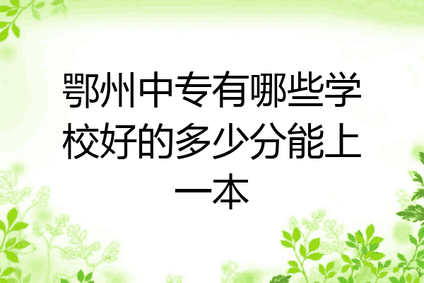 鄂州中专有哪些学校好的多少分能上一本