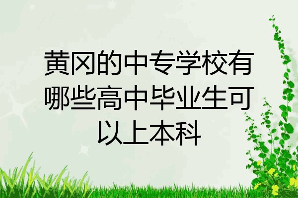 黄冈的中专学校有哪些高中毕业生可以上本科