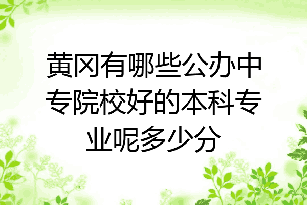 黄冈有哪些公办中专院校好的本科专业呢多少分
