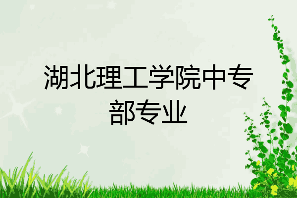 湖北理工学院中专部专业