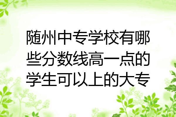 随州中专学校有哪些分数线高一点的学生可以上的大专