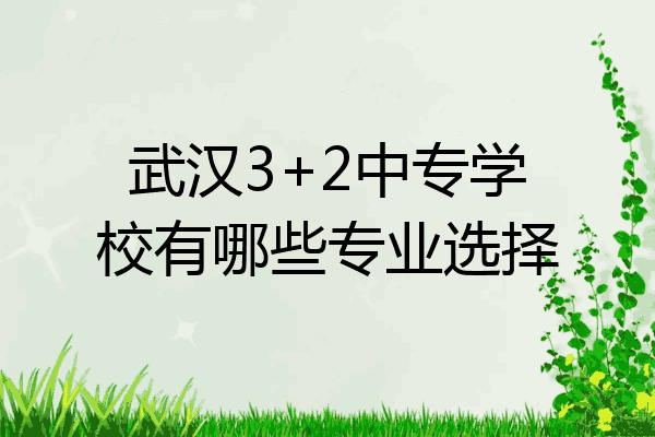 武汉3+2中专学校有哪些专业选择
