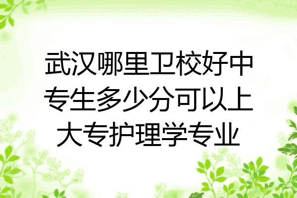 武汉哪里卫校好中专生多少分可以上大专护理学专业
