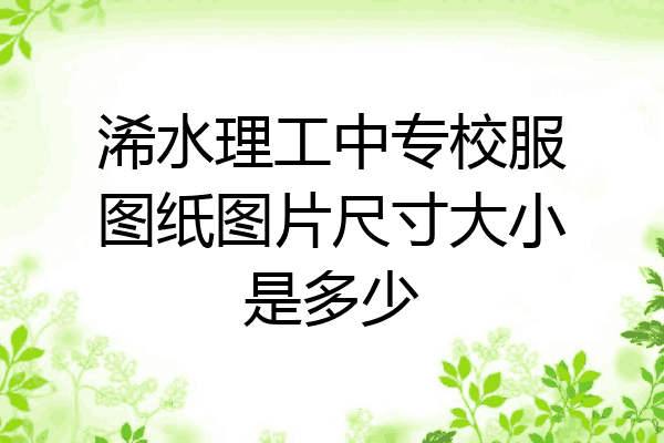 浠水理工中专校服图纸图片尺寸大小是多少