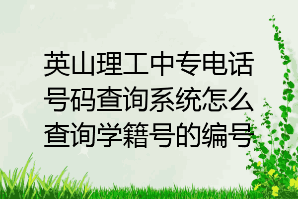 英山理工中专电话号码查询系统怎么查询学籍号的编号