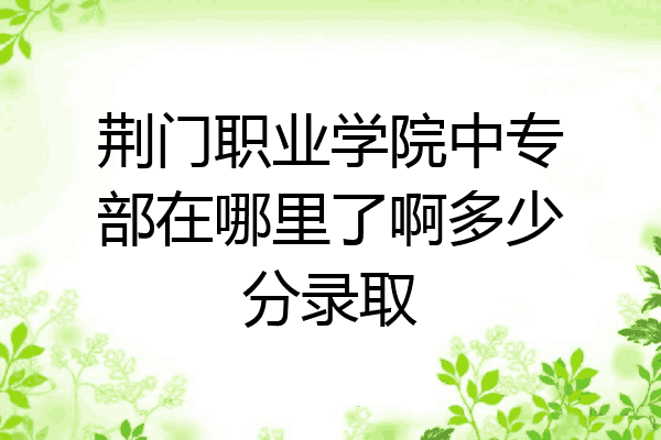 荆门职业学院中专部在哪里了啊多少分录取